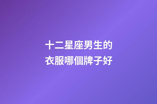 十二星座男生的衣服哪個牌子好-第1張-星座運勢-玄機派