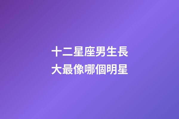 十二星座男生長大最像哪個明星-第1張-星座運勢-玄機派