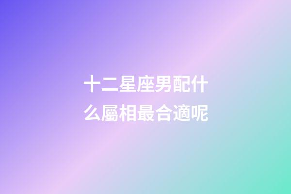 十二星座男配什么屬相最合適呢-第1張-星座運勢-玄機派