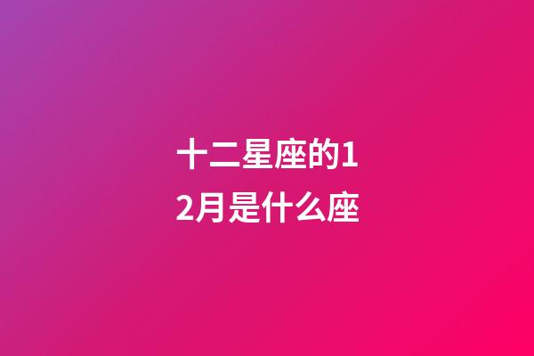 十二星座的12月是什么座-第1張-星座運勢-玄機派