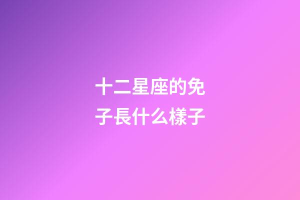 十二星座的免子長什么樣子-第1張-星座運勢-玄機派