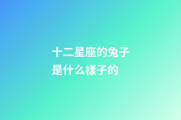 十二星座的兔子是什么樣子的-第1張-星座運勢-玄機派
