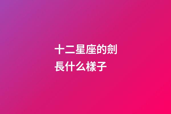 十二星座的劍長什么樣子-第1張-星座運勢-玄機派