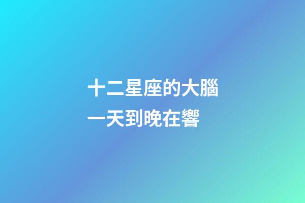 十二星座的大腦一天到晚在響-第1張-星座運勢-玄機派