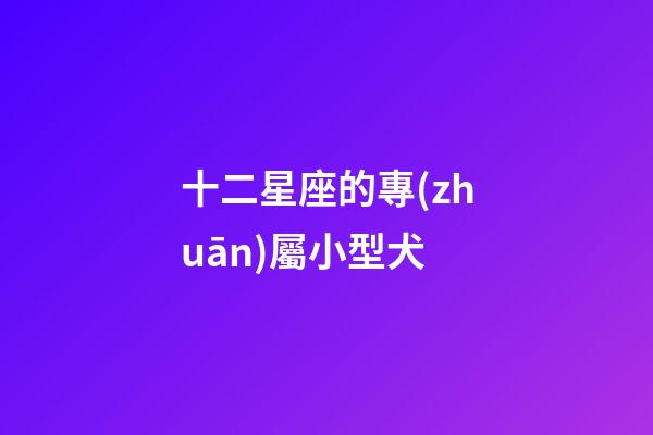 十二星座的專(zhuān)屬小型犬-第1張-星座運(yùn)勢(shì)-玄機(jī)派
