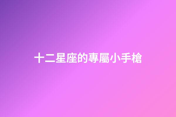 十二星座的專屬小手槍