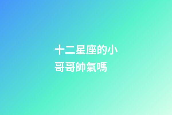 十二星座的小哥哥帥氣嗎-第1張-星座運(yùn)勢(shì)-玄機(jī)派