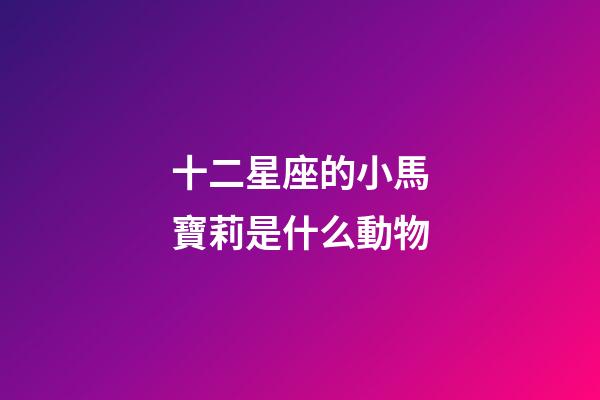 十二星座的小馬寶莉是什么動物-第1張-星座運勢-玄機派