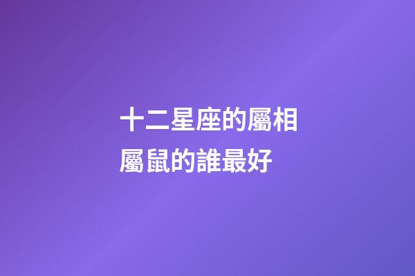 十二星座的屬相屬鼠的誰最好-第1張-星座運(yùn)勢-玄機(jī)派