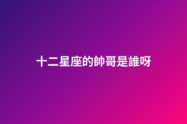 十二星座的帥哥是誰呀-第1張-星座運(yùn)勢(shì)-玄機(jī)派