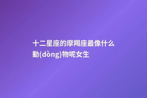十二星座的摩羯座最像什么動(dòng)物呢女生-第1張-星座運(yùn)勢-玄機(jī)派