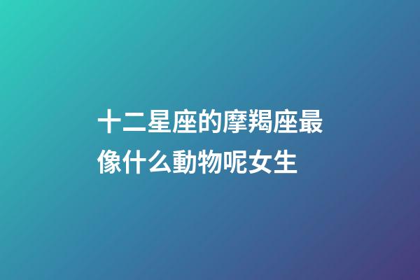 十二星座的摩羯座最像什么動物呢女生