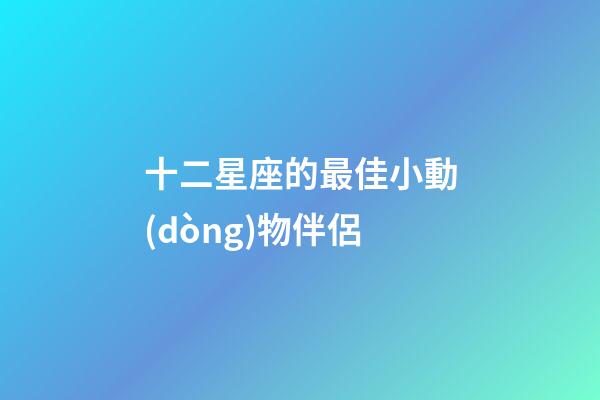 十二星座的最佳小動(dòng)物伴侶-第1張-星座運(yùn)勢(shì)-玄機(jī)派