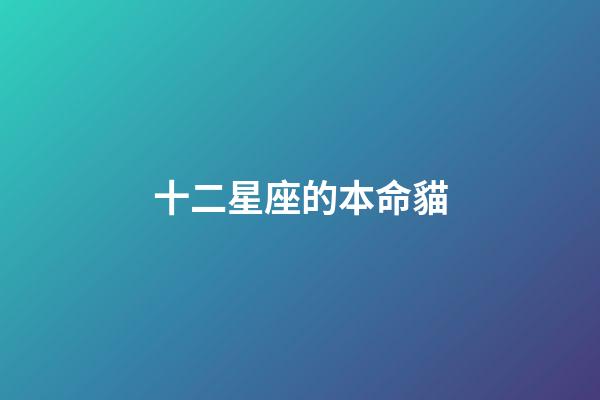 十二星座的本命貓-第1張-星座運勢-玄機派