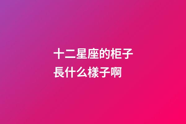 十二星座的柜子長什么樣子啊-第1張-星座運勢-玄機派