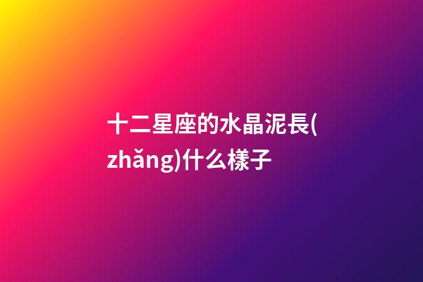 十二星座的水晶泥長(zhǎng)什么樣子-第1張-星座運(yùn)勢(shì)-玄機(jī)派