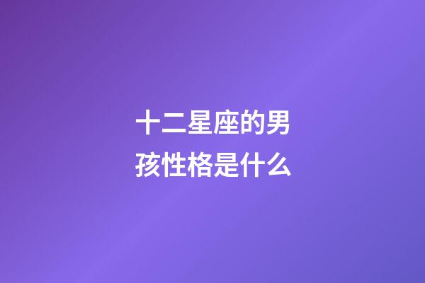 十二星座的男孩性格是什么-第1張-星座運勢-玄機派