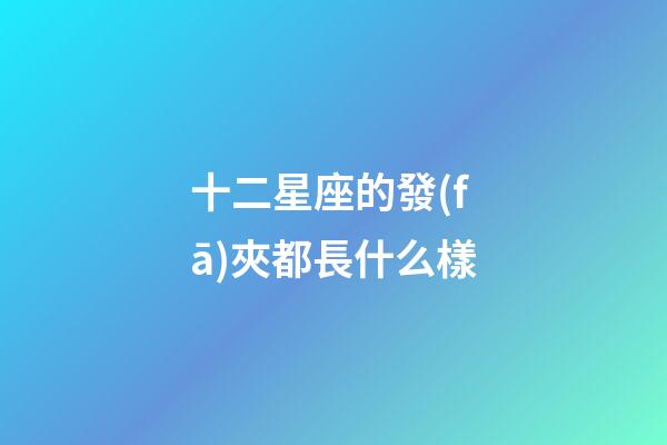 十二星座的發(fā)夾都長什么樣
