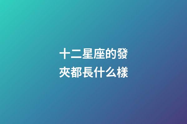 十二星座的發夾都長什么樣