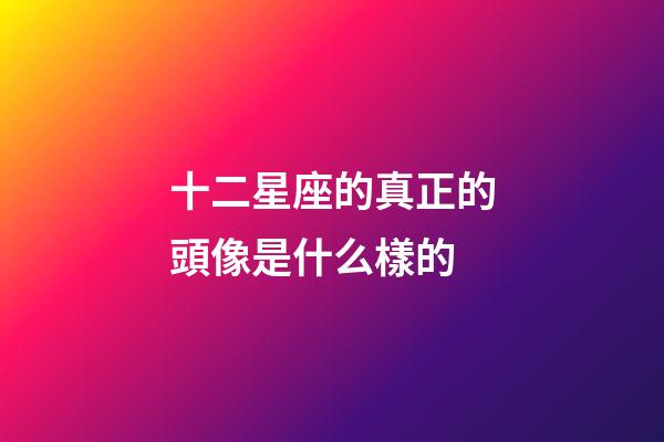 十二星座的真正的頭像是什么樣的-第1張-星座運勢-玄機派