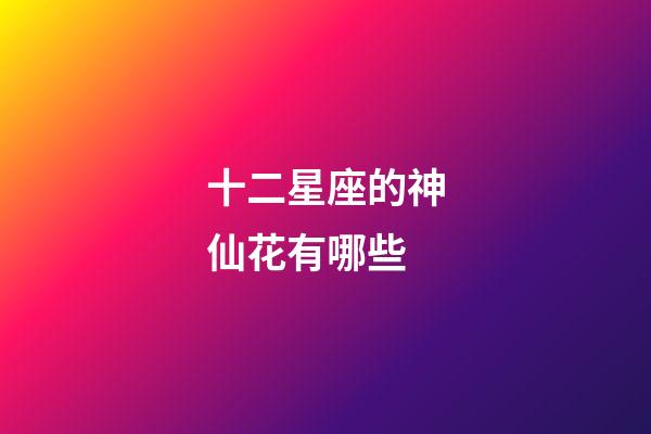 十二星座的神仙花有哪些-第1張-星座運(yùn)勢(shì)-玄機(jī)派