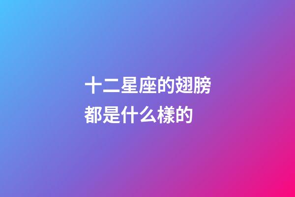十二星座的翅膀都是什么樣的-第1張-星座運勢-玄機派