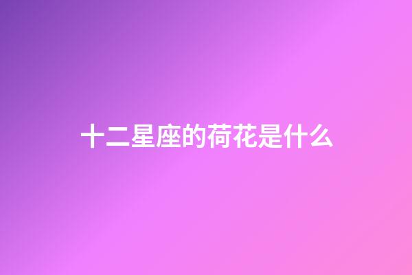 十二星座的荷花是什么-第1張-星座運勢-玄機(jī)派