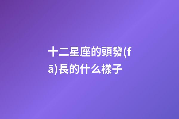 十二星座的頭發(fā)長的什么樣子-第1張-星座運勢-玄機派