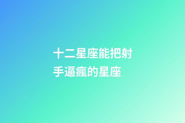 十二星座能把射手逼瘋的星座-第1張-星座運勢-玄機派