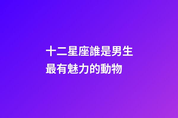 十二星座誰是男生最有魅力的動物-第1張-星座運勢-玄機派