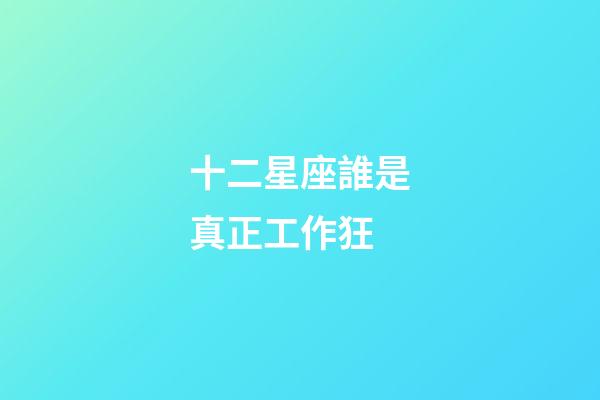 十二星座誰是真正工作狂-第1張-星座運勢-玄機派