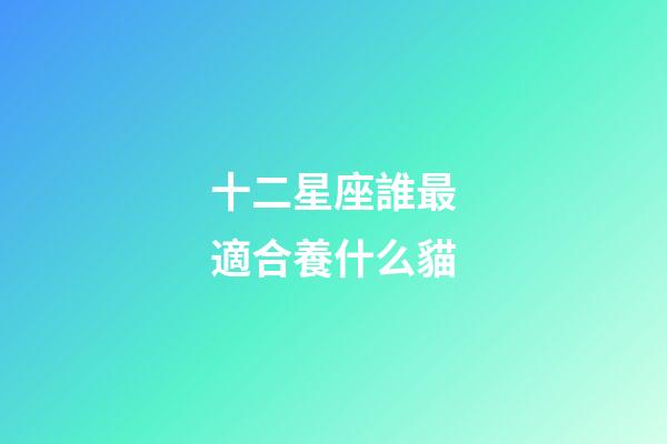 十二星座誰最適合養什么貓-第1張-星座運勢-玄機派