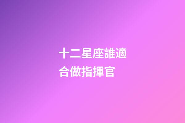十二星座誰適合做指揮官-第1張-星座運勢-玄機派