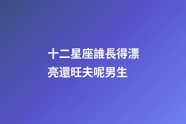 十二星座誰長得漂亮還旺夫呢男生-第1張-星座運勢-玄機派