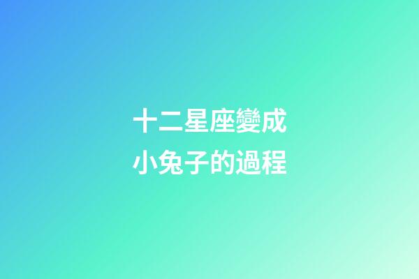 十二星座變成小兔子的過程