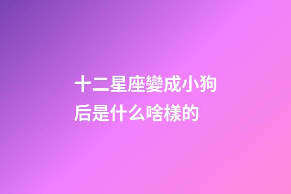 十二星座變成小狗后是什么啥樣的-第1張-星座運勢-玄機派