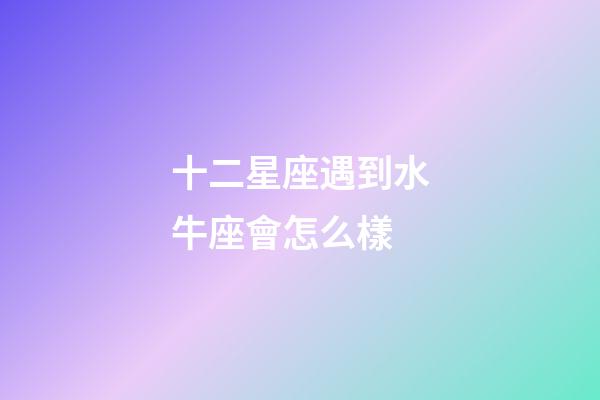 十二星座遇到水牛座會怎么樣