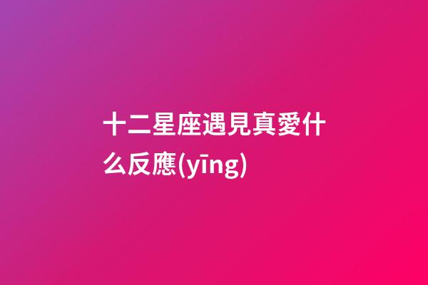 十二星座遇見真愛什么反應(yīng)-第1張-星座運勢-玄機派