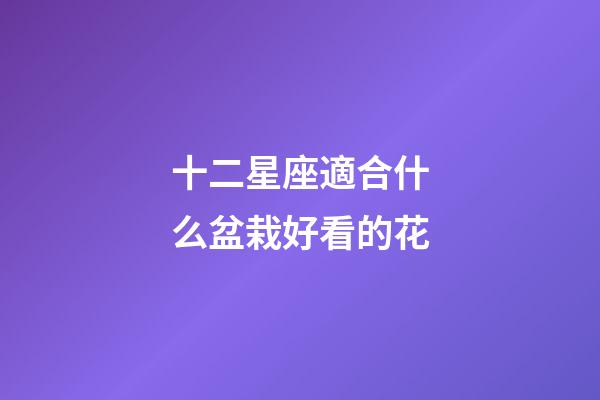 十二星座適合什么盆栽好看的花-第1張-星座運勢-玄機派