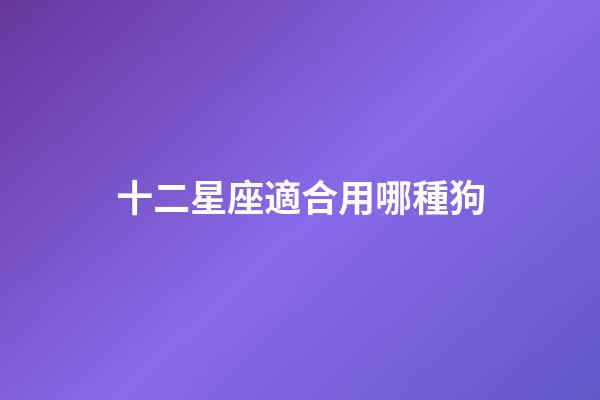 十二星座適合用哪種狗-第1張-星座運(yùn)勢(shì)-玄機(jī)派
