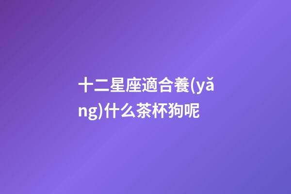 十二星座適合養(yǎng)什么茶杯狗呢-第1張-星座運勢-玄機派