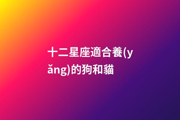十二星座適合養(yǎng)的狗和貓-第1張-星座運勢-玄機派