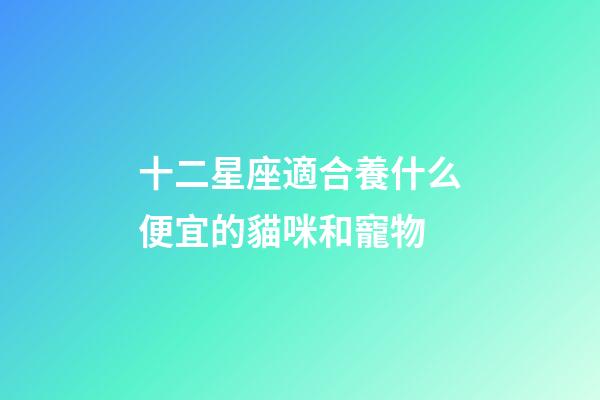 十二星座適合養什么便宜的貓咪和寵物-第1張-星座運勢-玄機派