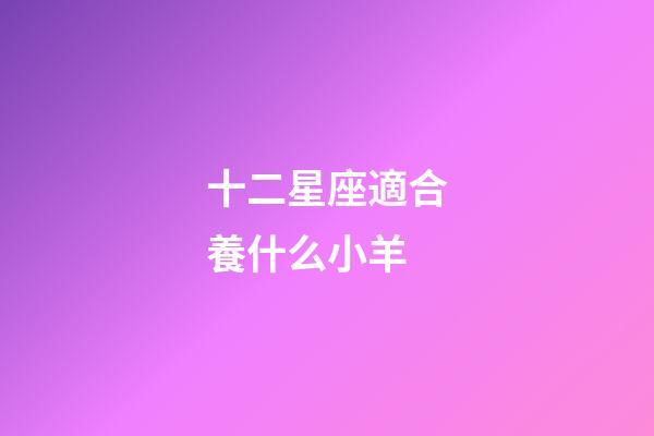 十二星座適合養什么小羊-第1張-星座運勢-玄機派