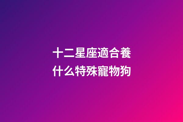 十二星座適合養什么特殊寵物狗-第1張-星座運勢-玄機派