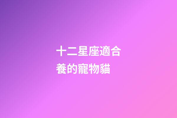 十二星座適合養的寵物貓-第1張-星座運勢-玄機派