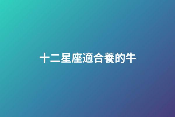 十二星座適合養的牛-第1張-星座運勢-玄機派