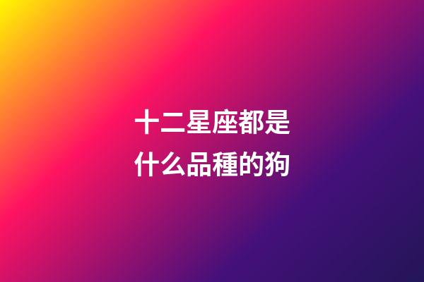 十二星座都是什么品種的狗-第1張-星座運勢-玄機派