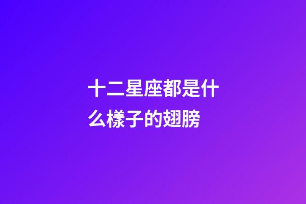 十二星座都是什么樣子的翅膀-第1張-星座運勢-玄機派