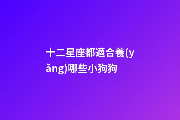 十二星座都適合養(yǎng)哪些小狗狗-第1張-星座運(yùn)勢-玄機(jī)派